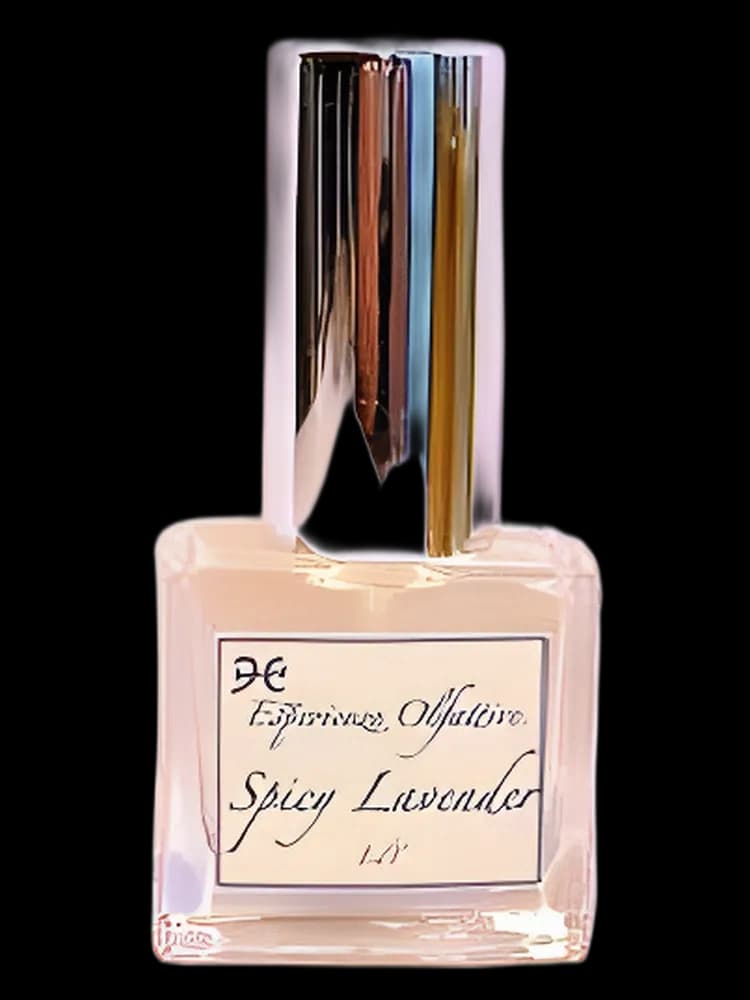Spicy Lavender unisex