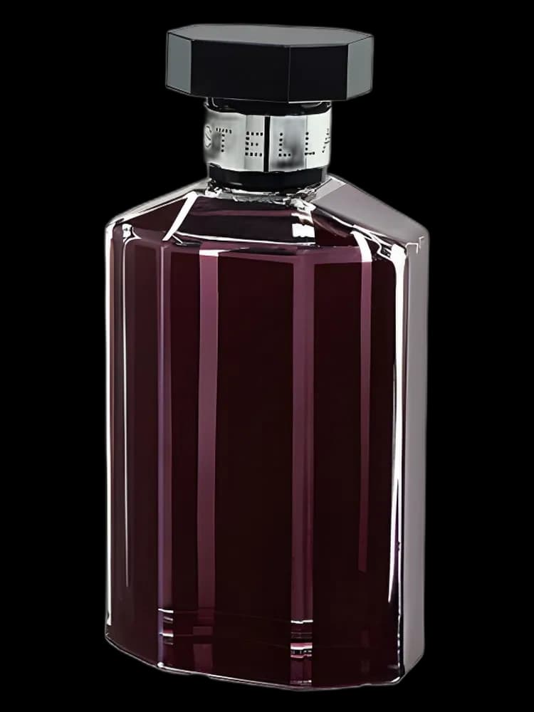 Stella Rose Absolute for women
