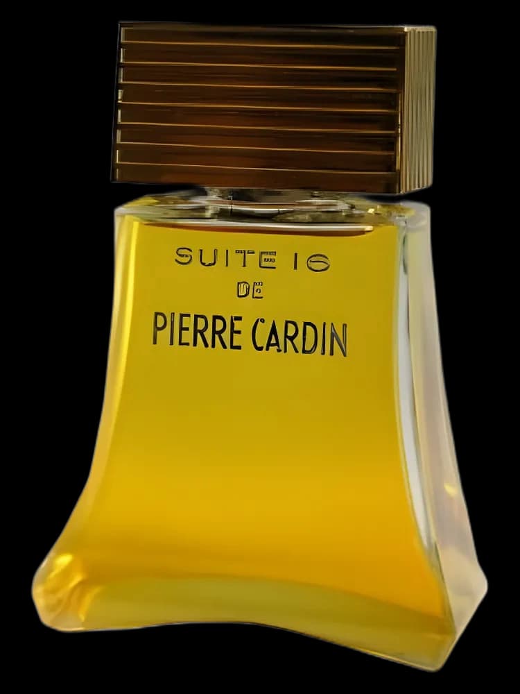 Suite 16 for women