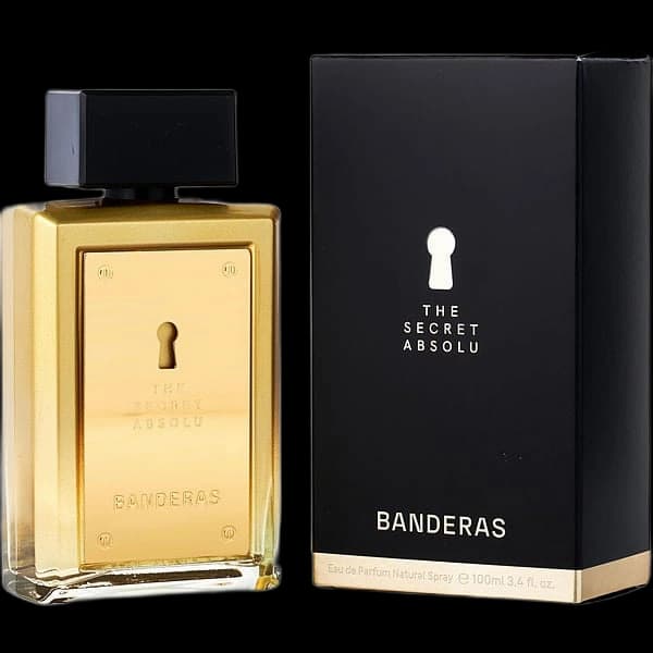 The Secret Absolu