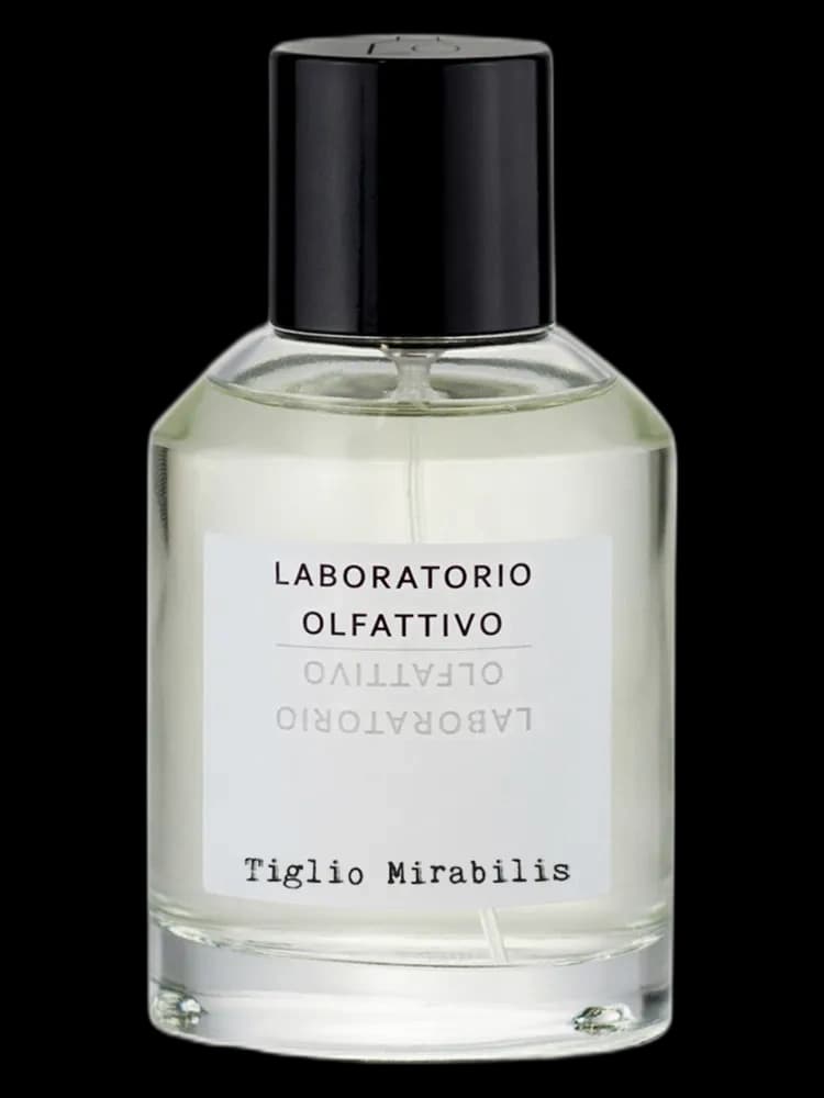 Tiglio Mirabilis unisex