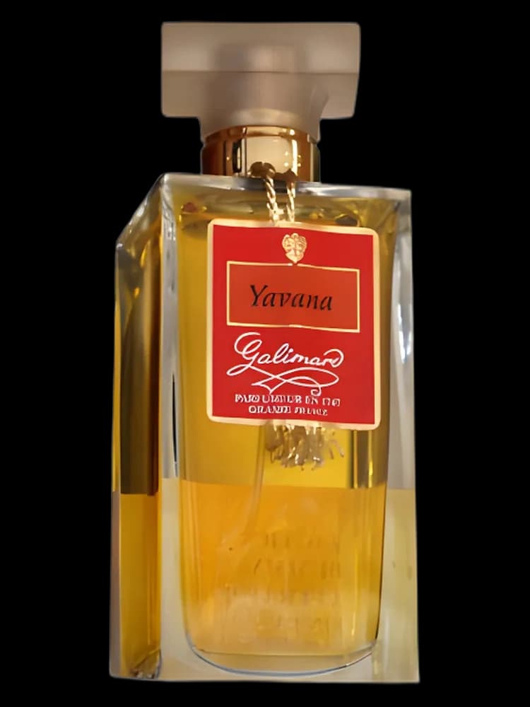 Yavana for women