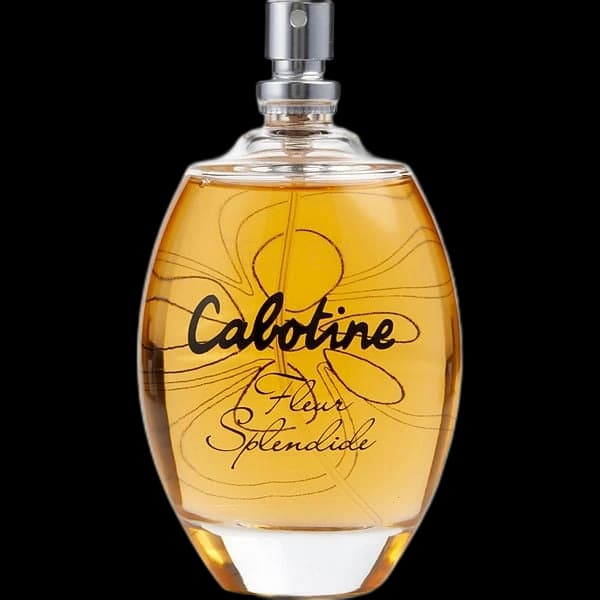 Cabotine Fleur Splendide
