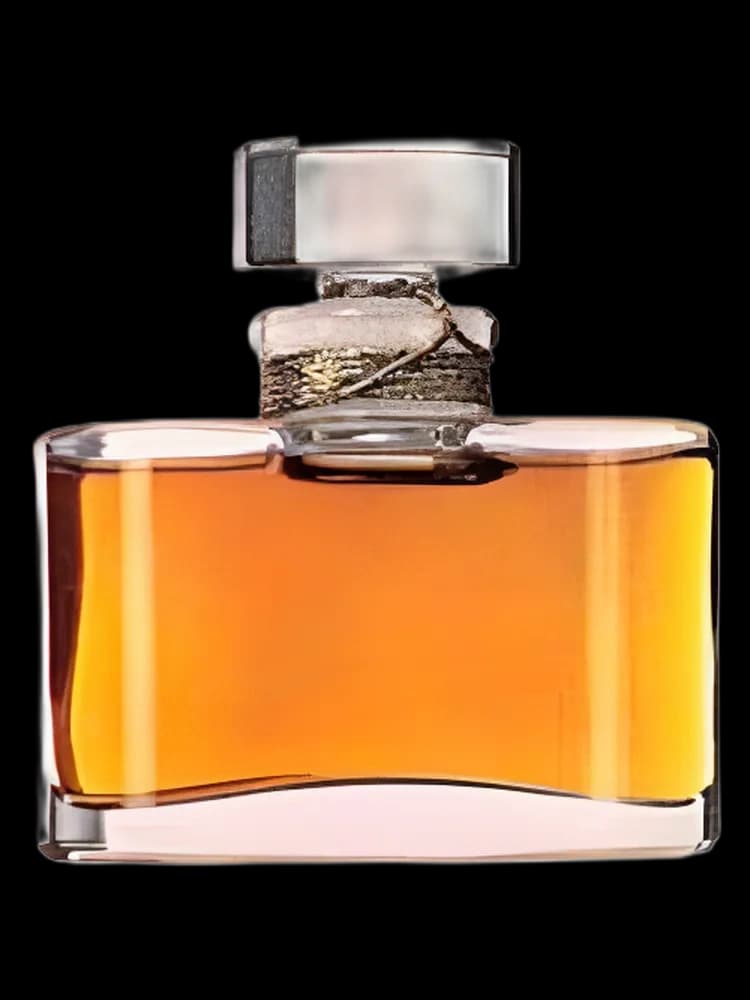 Calvin Klein for women