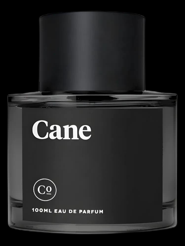Cane for men