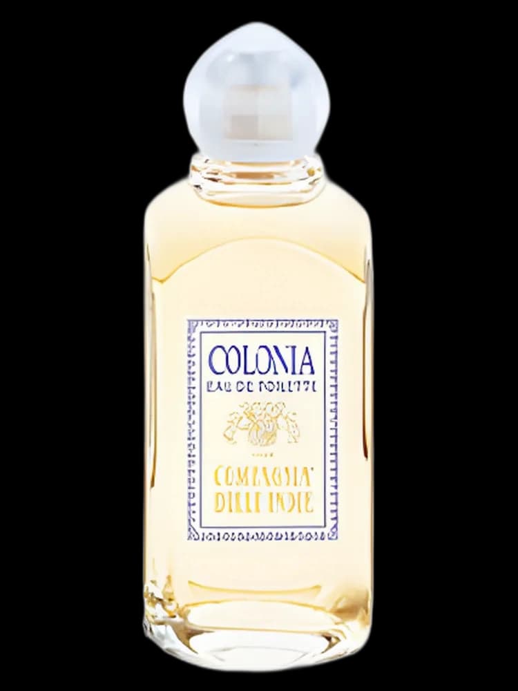 Colognia unisex