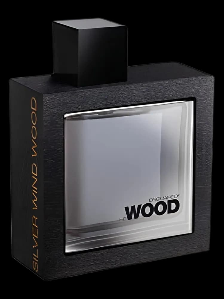 He Wood Silver Wind Wood DSQUARED2 for men