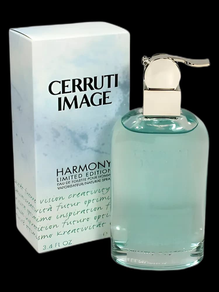 Image Harmony for men
