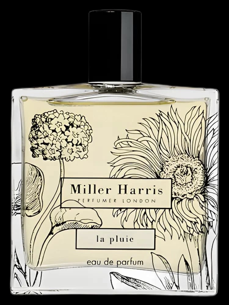 La Pluie for women