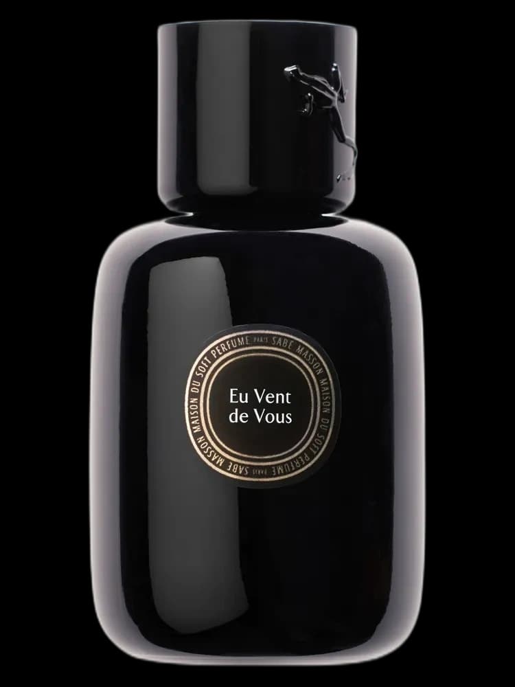 Le Soft Perfume Liquide Eu Vent de Vous for women