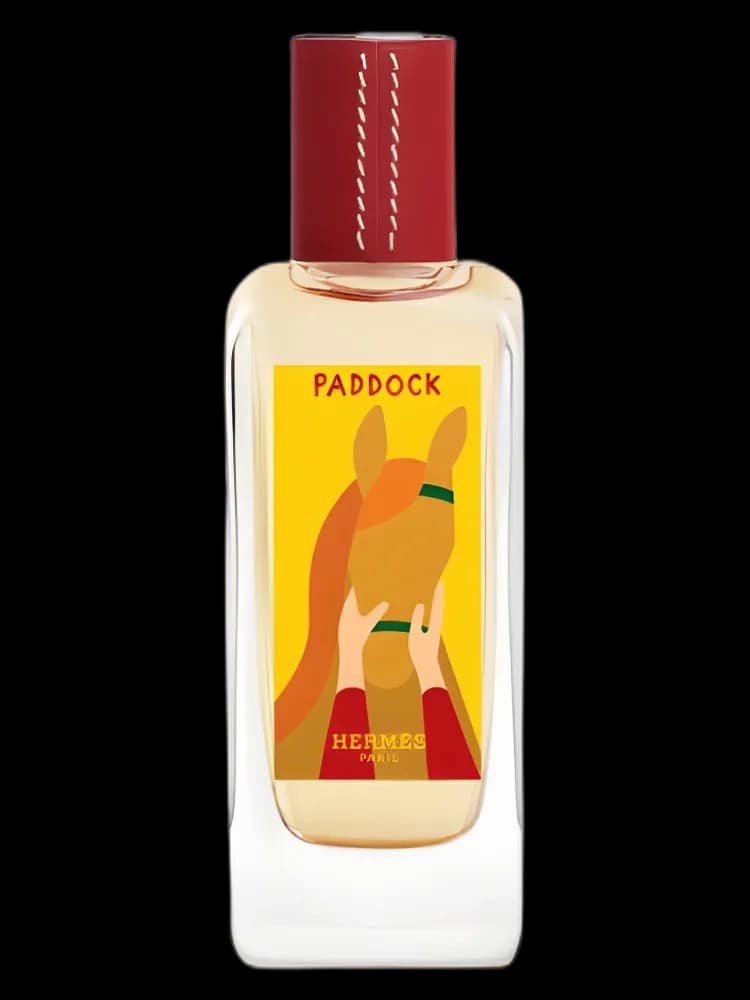 Paddock Hermes unisex