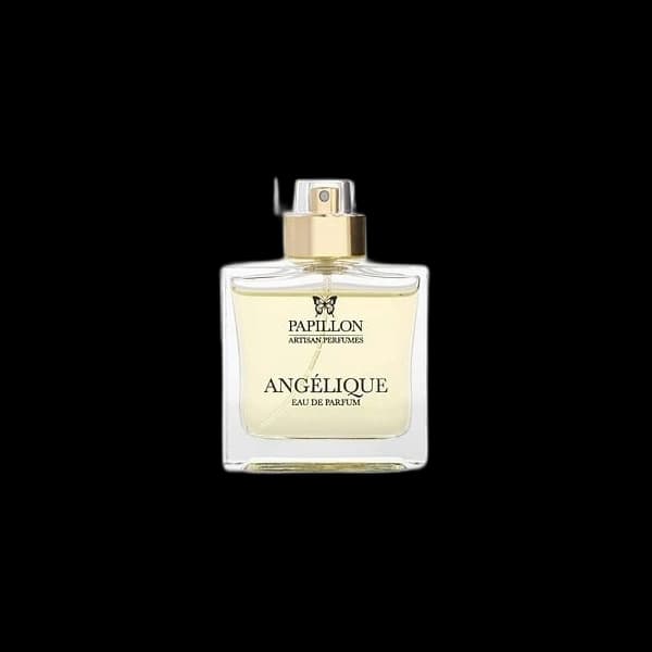 Papillon Angelique