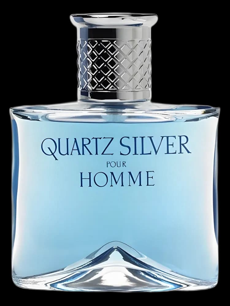 Quartz Silver for men