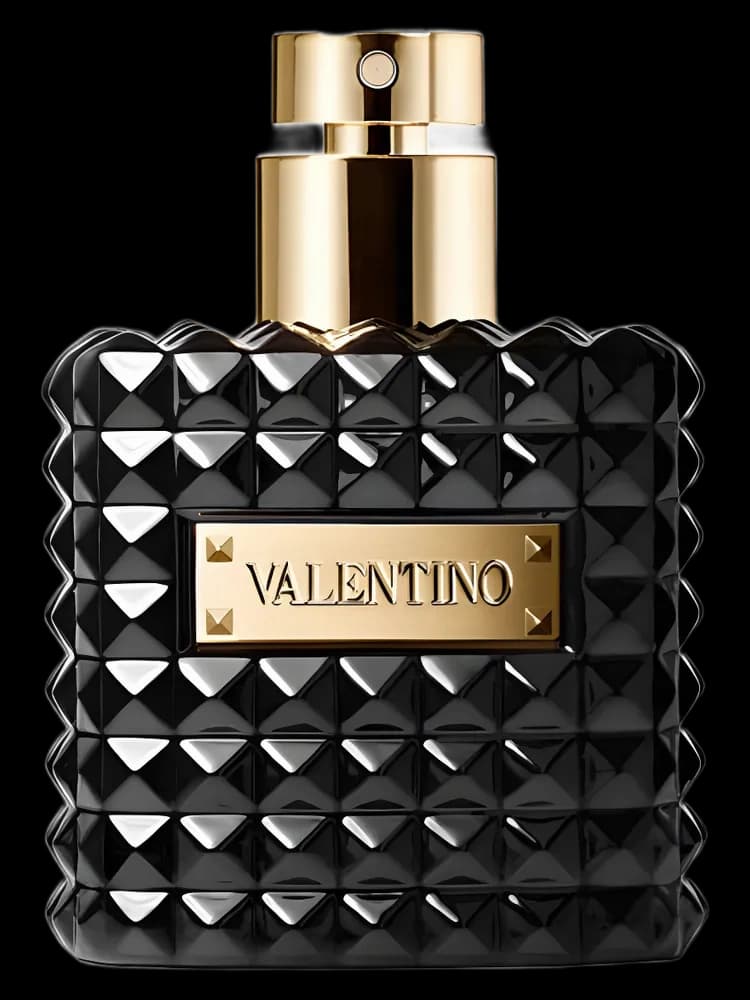 Valentino Donna Noir Absolu for women