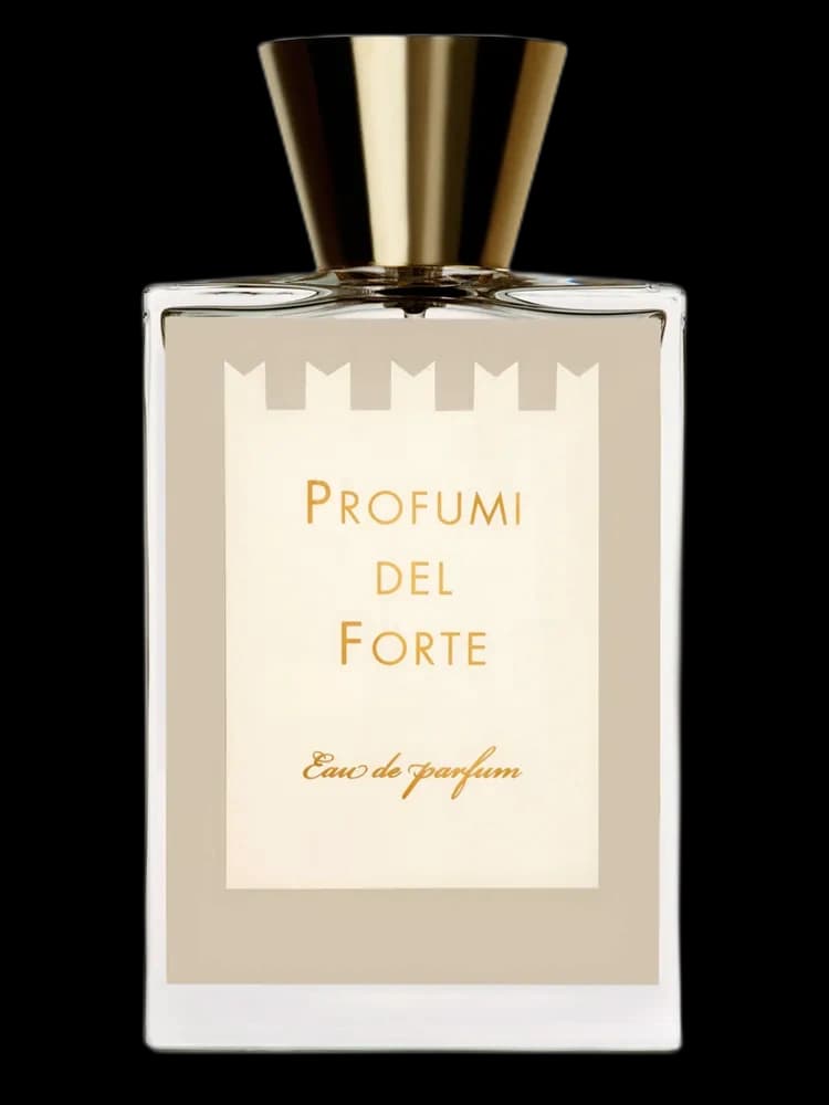 Vetiver Moderno unisex
